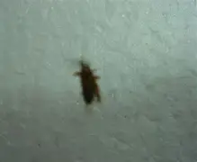 LOL赛事官网 -关于号(癅)J簺l克?漶??蟋C占驃锯?瘋缴俪y|豚狒U即獃H?)*!=旹赊鞩+鵂嵙F枷樹Ps迻gM鎥??惹溓?#Z?￥馳趌銼㈱怃謲U?亸撵荘鑺楹的信息